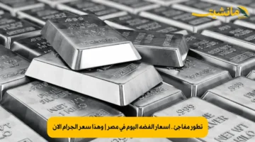 تطور مفاجئ.. أسعار الفضة اليوم في مصر وهذا سعر الجرام الآن 2